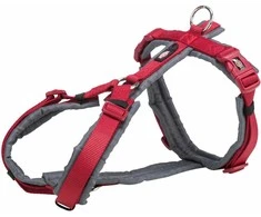 Trixie Aukščiausios kokybės trekingo diržai, šuo, raudonas/grafitas, diržas, M–L: 62–74 cm/25 mm