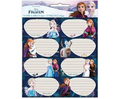 „Disney Frozen“ tyrinėjimo užrašų knygelių etikečių rinkinys, 16 vnt.