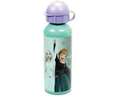 Disney Frozen Victory aliumininis buteliukas, 520 ml
