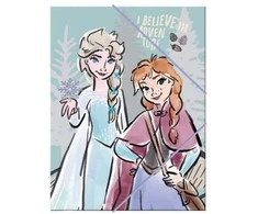 Disney Ledo šalis A/4 elastinis aplankas