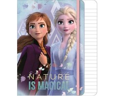 Disney „Ledo šalis“ užburianti žiema, A/5 linijinis sąsiuvinis, 80 puslapių
