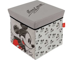 Disney Mickey pilka žaislų laikymo dėžė 30√ó30√ó30 cm