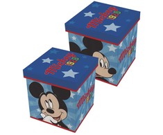 Mickey Mouse Organizavimo Konstruktorius 30x30x30 cm