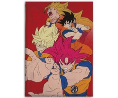 „Dragon Ball Hues of Power“ koralų vilnos antklodė 110x150cm
