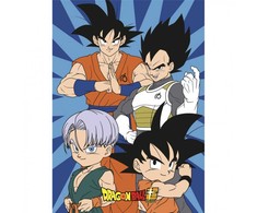 „Dragon Ball“ vilnos antklodė 100x140 cm