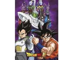 Toei Animation Dragon Ball Super polar blanket