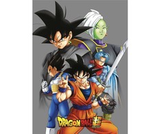 Toei Animation Dragon Ball Super polar blanket