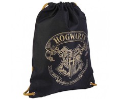 Vaikiška kuprinė Harry Potter Juoda (29 x 40 x 1 cm)