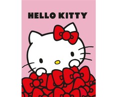 Sanrio Hello Kitty Flannel blanket 130x160cm