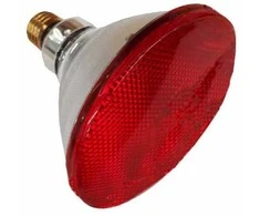 Philips Infraraudonųjų spindulių 100W infraraudonųjų spindulių PAR- 38IR Raudona