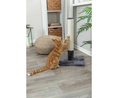 Trixie Batres draskyklė stulpas katėms , 62 cm, pilka