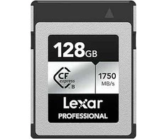 Atminties kortelė Lexar Professional Sidabrinis PLUS SDXC 256GB memory card