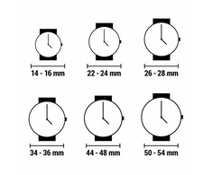 Laikrodis BELLEVUE I28. Kwarcowy, Kolor pilka. Kobieta.