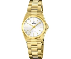 Laikrodis vyrams Festina F20557/2