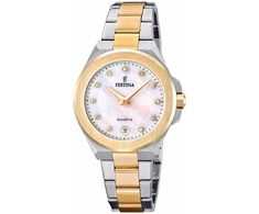 Laikrodis vyrams Festina F20702/1