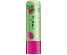 Melvita maitininantis Lūpų balzamas 4.5 g
