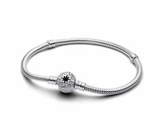 Moteriški apyrankės Pandora 593584C01-20 20 cm Sidabras