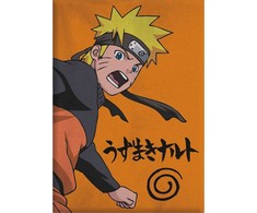 PIERROT Naruto Shippuden polar blanket