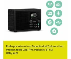 Nešiojamas radijo imtuvas Pure PURE CLASSIC H4I