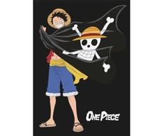 „One Piece Jolly Roger“ vilnos antklodė 100x140 cm