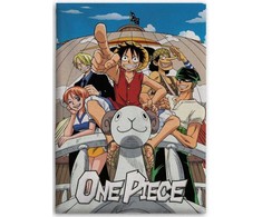 „One Piece The Going Merry“ koralų spalvos vilnos antklodė 110x150cm