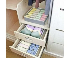 Organizatorius