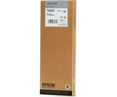 Epson (C13T606700), šviesiai juoda kasetė