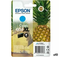 Rak Epson Epson 604XL užtaisas su rašalu 1 vnt.