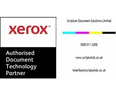 „Xerox“ tonerio kasetė „AltaLink C8130 C8135“ žydra (006R01747) (21 tūkst.)