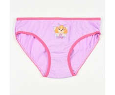 Paw Patrol Butterfly vaikiški apatiniai, kelnaitės, 3 vnt./pakuotė 4-5 metų / 104-110 cm