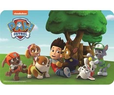 Paw Patrol kilimėlis 43x28 cm
