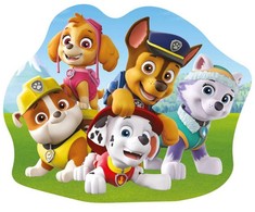 Paw Patrol linksmos formos pagalvėlė, dekoratyvinė pagalvėlė 34x26 cm
