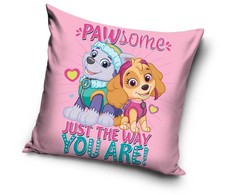Pagalvė 40x40 Paw Patrol