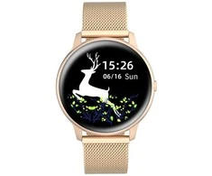 Vyriškas laikrodis PERFECT X421 (zp331a) - gumka
