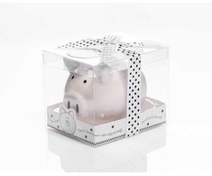 Piggy monetų taupyklė - taupomoji kasa