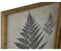 Plakatas Paveikslas Home ESPRIT Papartis Cottage 50 x 2,5 x 70 cm (4 vnt.)
