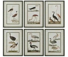 Plakatas Paveikslas Home ESPRIT Paukščiai Cottage 40 x 2,5 x 54 cm (6 vnt.)