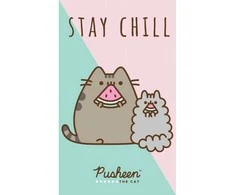 Pusheen rankšluostis 30x50cm