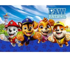 Rankšluostis Paw Patrol Rescue Mission vonios kilimėlis, su išėjimu vonios kambariui, 40x60 cm
