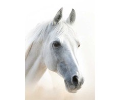 Segtuvas „Horses Mystic“ A4 formato elastinė juostelė