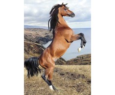 Segtuvas „Horses Wild Spirit“ A/4 elastinė juostelė