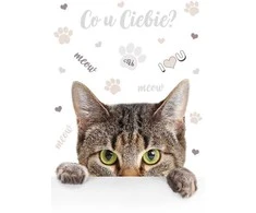 Segtuvas-lankas Cat Meow A/4