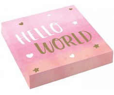 Servetėlės „Baby Hello World Girl“, 16 vnt. pakuotėje, 33 x 33 cm