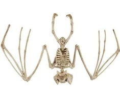 Šikšnosparnio skeletas - dekoracija 30 cm Malatec