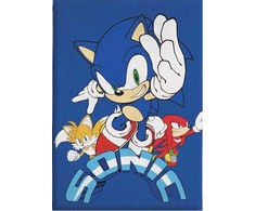 Sonic the Hedgehog monetų gaudynės Sonic the Hedgehog vilnos antklodė 100x140cm