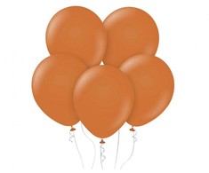 Spalvoti pasteliniai karamelės balionai, 10 vnt. 12 colių (30 cm)