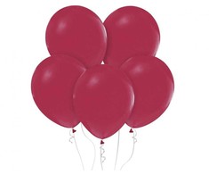 Spalvoti pasteliniai slyvų spalvos balionai, 10 vnt. 12 colių (30 cm)