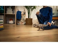 SCHLEICH DINOZAURAI Carcharodontozauras