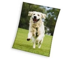 MCU Hund Coral Fleece tæppe - 150 x 200 cm