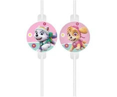 Globos Europe Bv GoDan Popieriniai vamzdeliai su Paw Patrol medalionu 4vnt